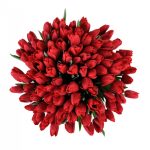 Тюльпаны красные